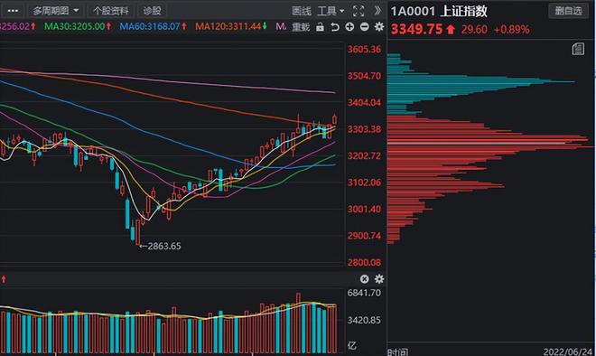 吴雅惠