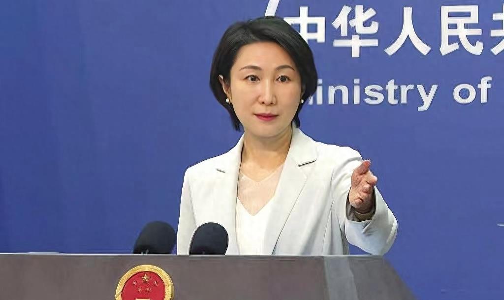 持续更新，叙利亚反对派的进展与阿萨德政权的命运揭晓