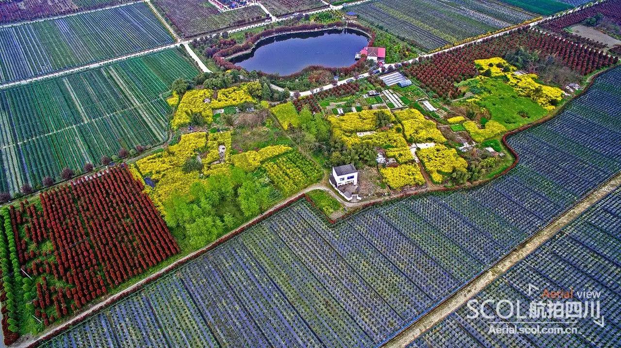 成都郫都区云桥湿地入围中国潜力OECMs案例案例揭晓