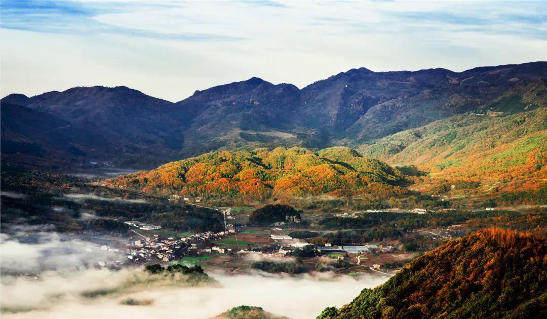 杨皓书