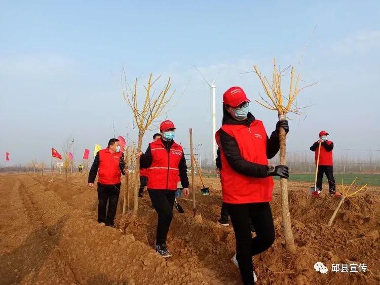 山河无恙，英雄归途奏响思念曲文章标题
