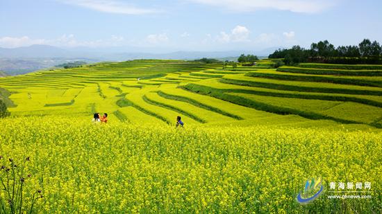 袁富毓